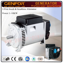 5kVA Hot Sale Double-Bearing Alterantor avec brosse AVR Charge de batterie, électrique